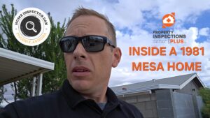 Inside a 1981 Mesa Home
